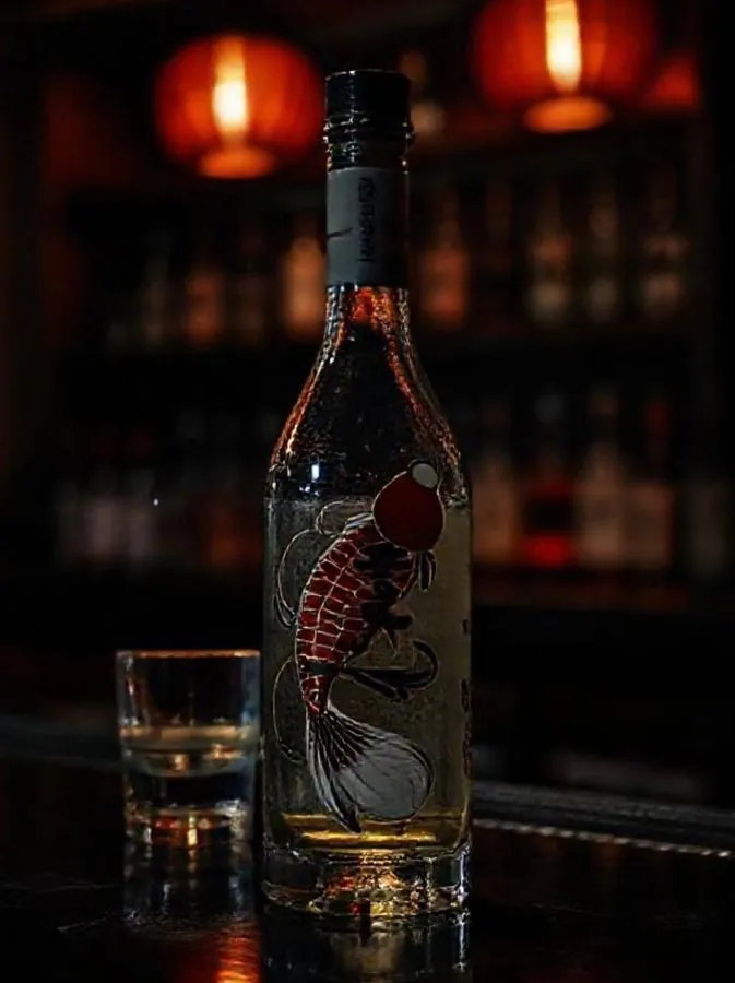 Koi